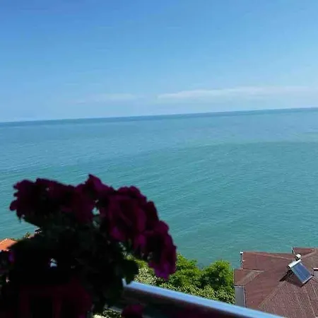 Lifetrabzon Sea ​​view Mansion Apartment